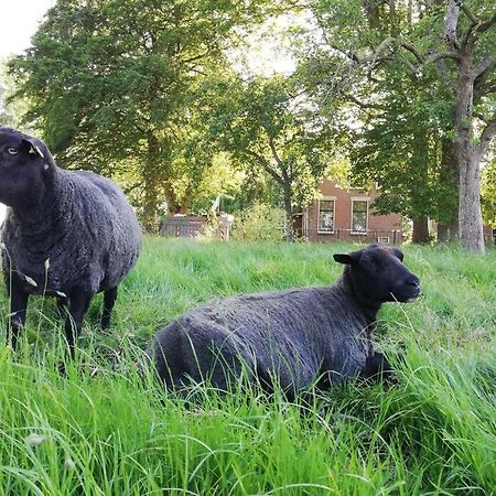 'T Pekelhuis - Vakantiehuisje Op Boerderij Huize Blokland Hem Exterior foto